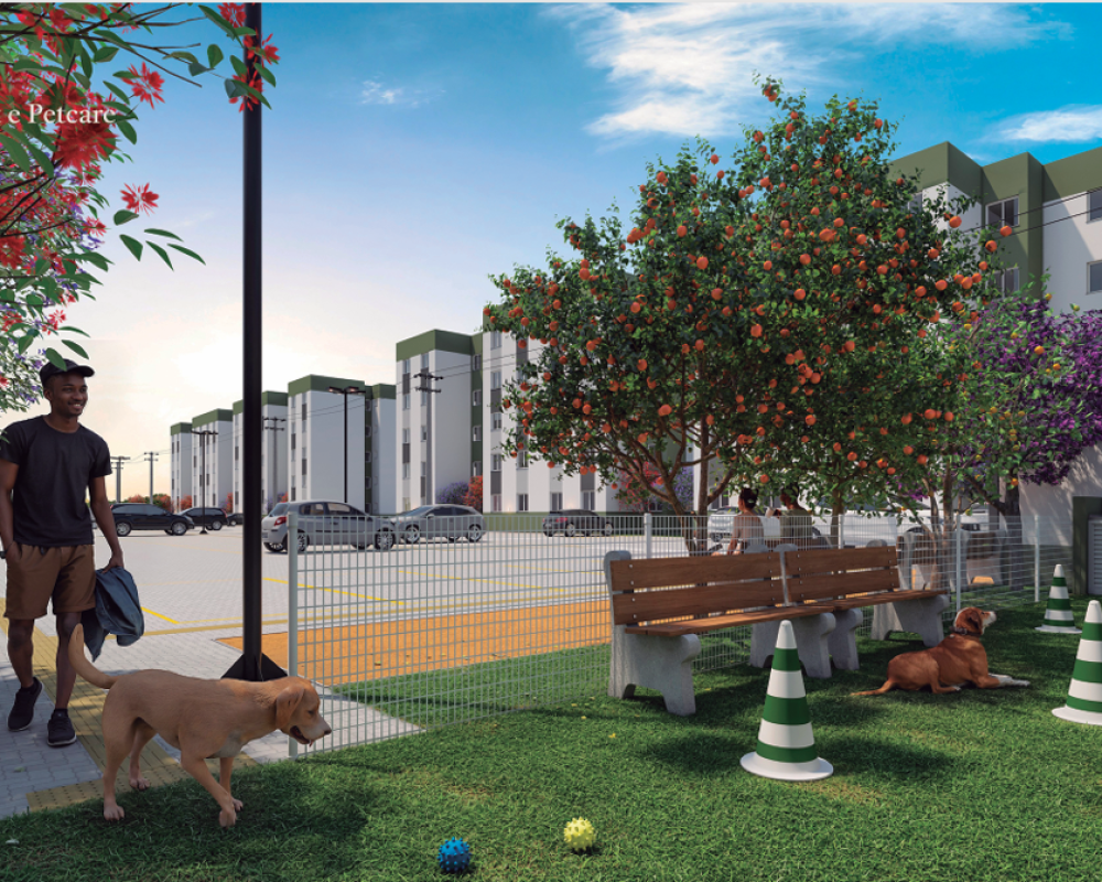 Captura de tela 2026-02-26 111143