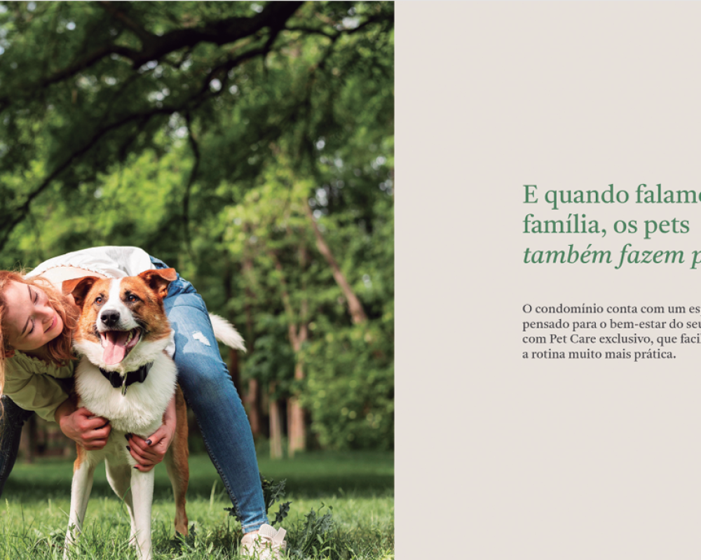 Captura de tela 2026-02-26 111155